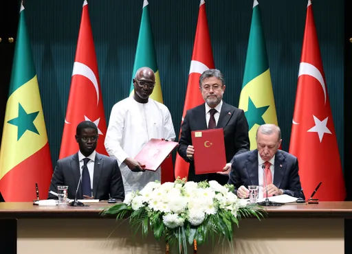 African safari: How Türkiye's growing footprints are shaping the world's second-largest continent