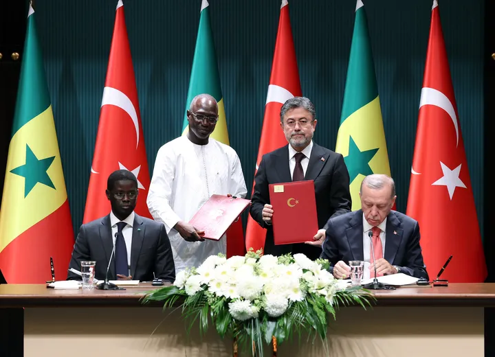 African safari: How Türkiye's growing footprints are shaping the world's second-largest continent