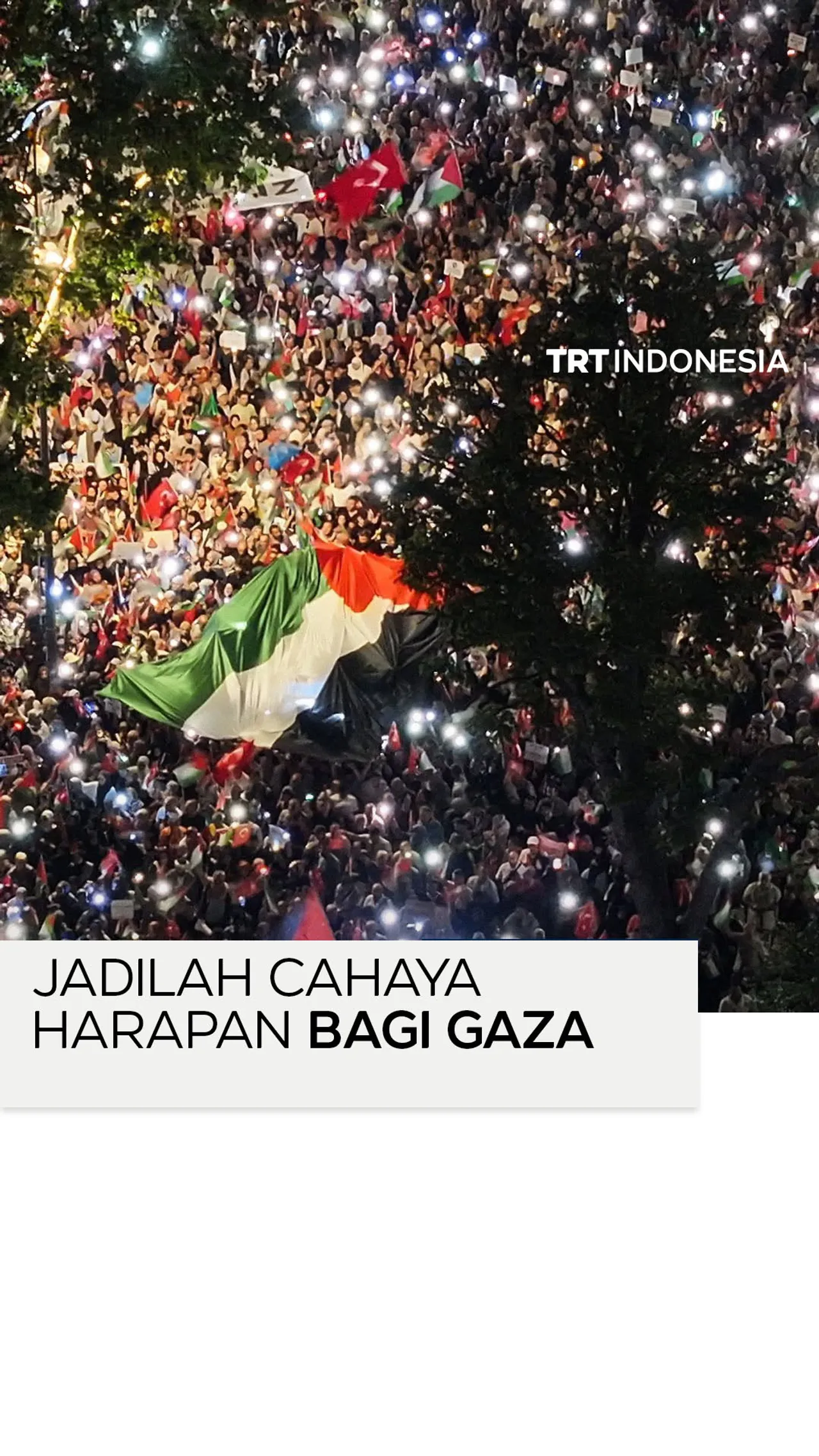 Puluhan ribu demonstran pro-Palestina berunjuk rasa di Istanbul dalam rangka solidaritas dengan Gaza