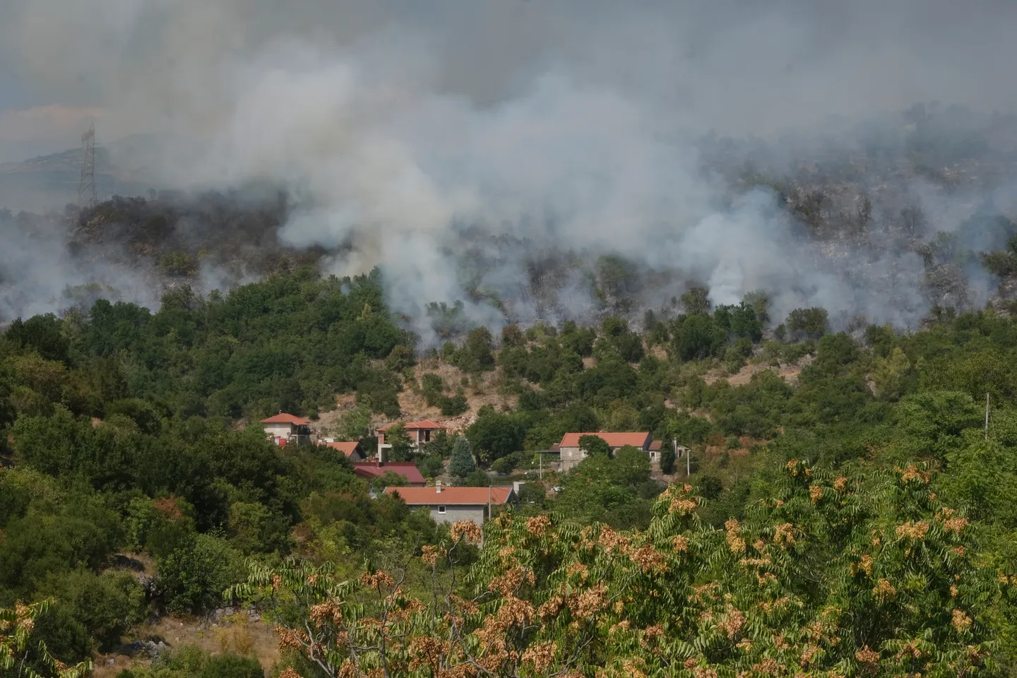 Продолжува борбата со пожарите во Црна Гора