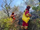Viktima e parë nga zjarret në Shqipëri, humb jetën një 80-vjeçar në Gramsh