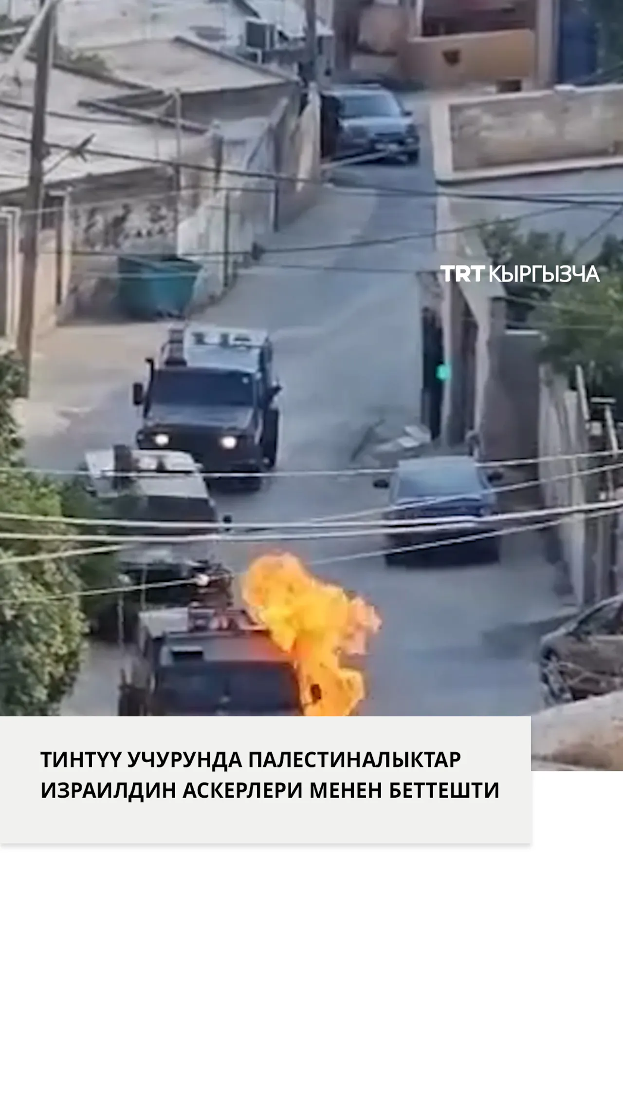Тинтүү учурунда палестиналыктар Израилдин аскерлери менен кагылышты