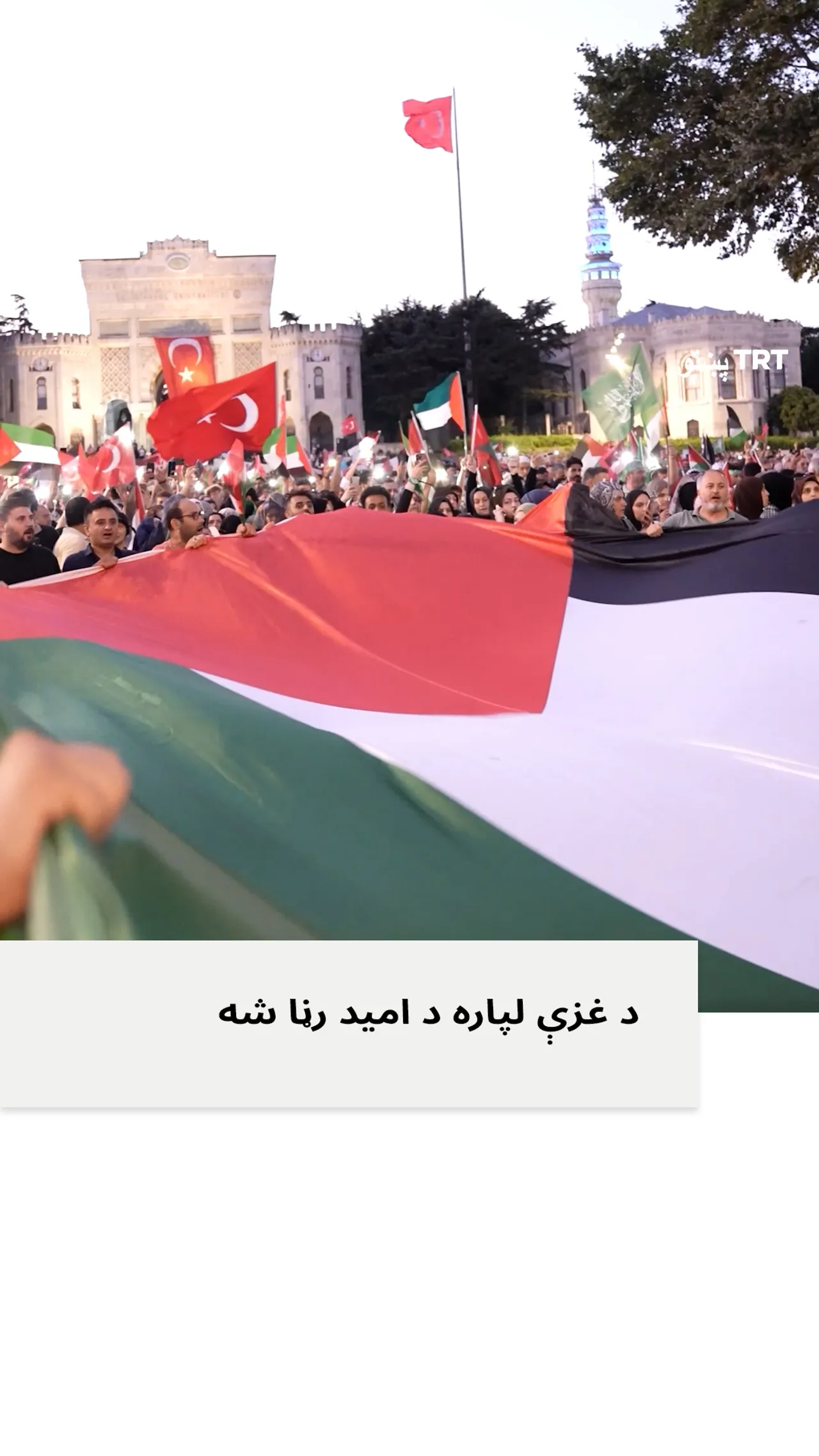 په لسګونو زره فلسطین پلوه لاریون کوونکو له غزې سره د پیوستون لپاره په استانبول کې لاریون وکړ.