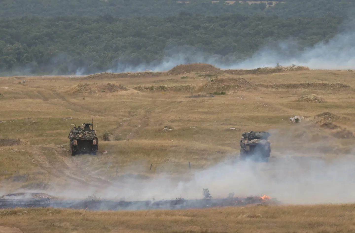 Стартовали совместные армяно-американские военные учения