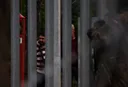Poland records over 550 illegal border attempts from Belarus in 72 hours