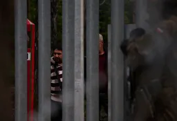 Poland records over 550 illegal border crossing attempts from Belarus in 72 hours