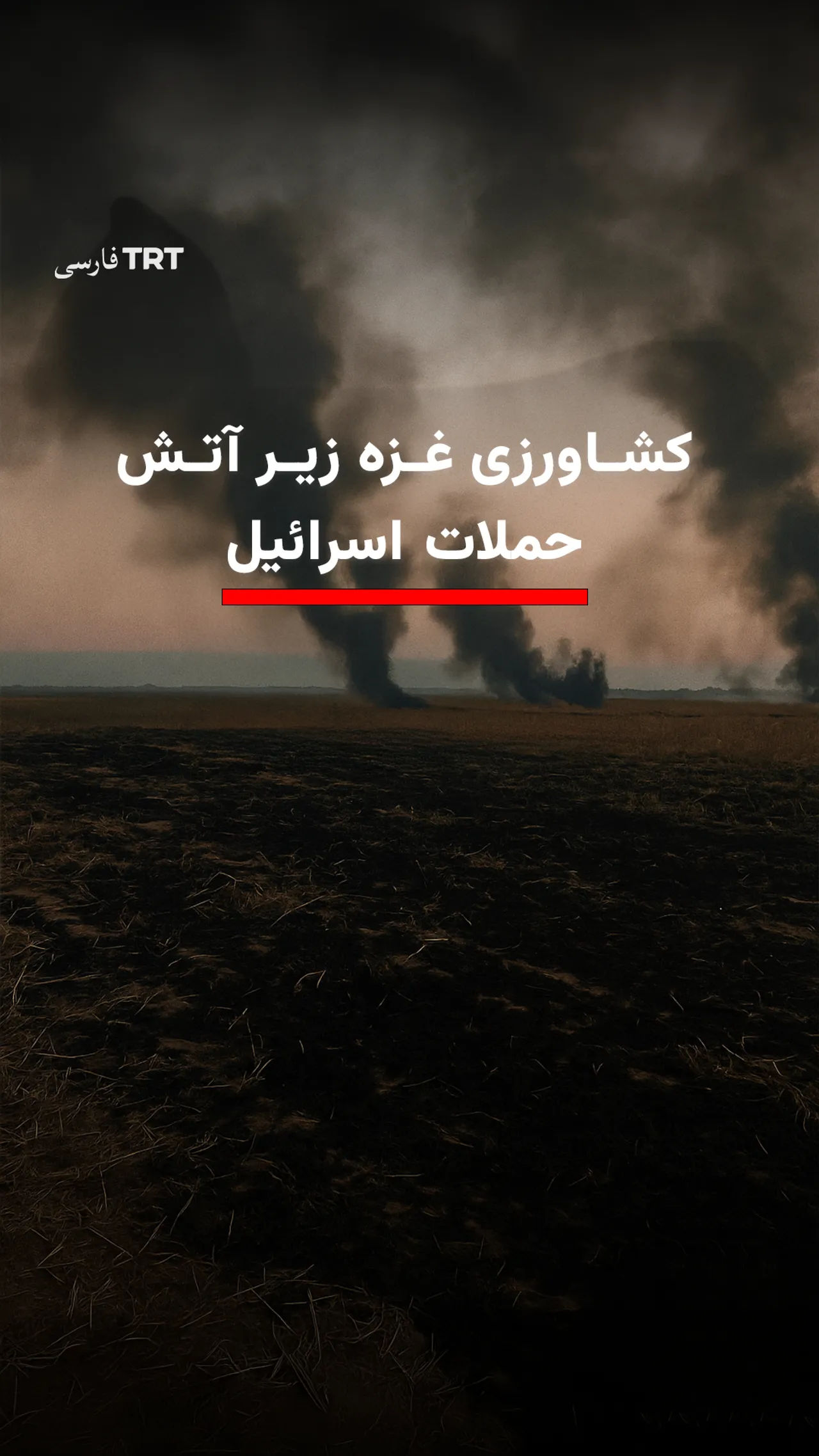 کشاورزی غزه زیر آتش حملات اسرائیل