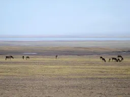 China utiliza robô antílope para monitorar o 'ecossistema da vida selvagem' do Tibete
