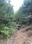 Regjistrohen 64 vatra zjarri në vetëm 24 orë, vijon situata kritike në Finiq e Delvinë
