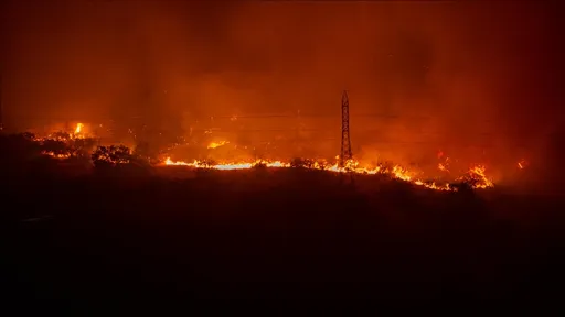 Sezoni më shkatërrues i zjarreve në pyje në Europë regjistrohet këtë vit
