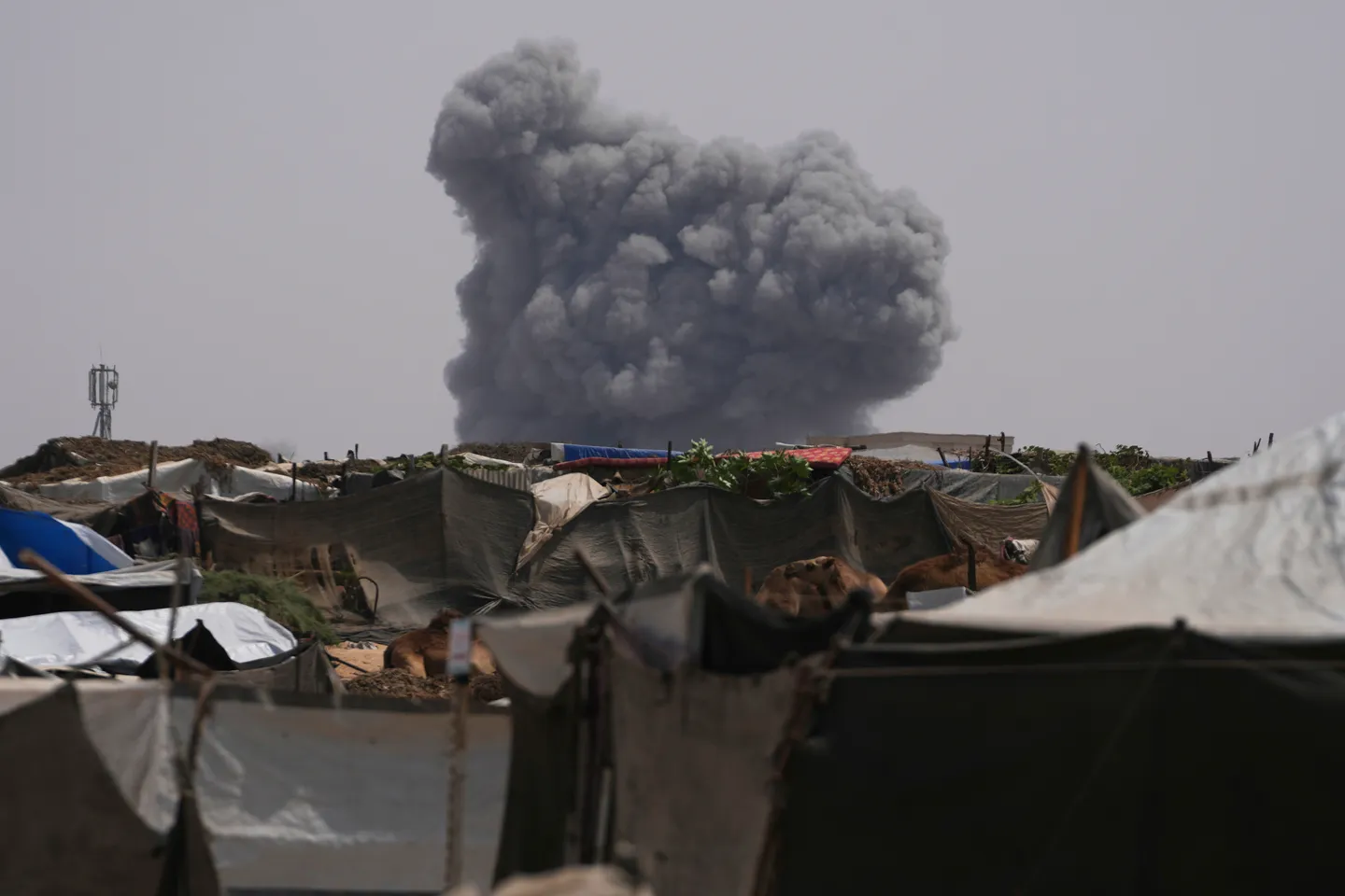 イスラエル、ガザ・ザイトゥーン地区で3日間に300棟超の住宅を破壊