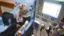 OBSh-ja: Mbi 14.800 pacientë në Gaza në nevojë për kujdes mjekësor urgjent