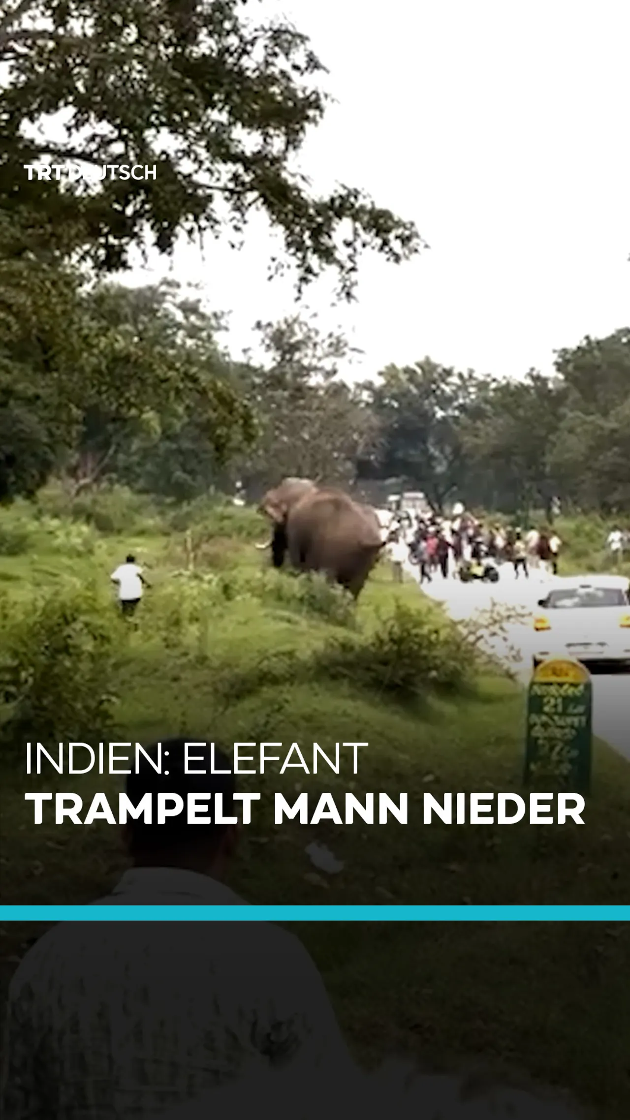 Indien: Elefant trampelt Mann nieder