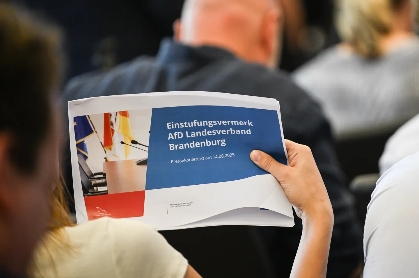 Verfassungsschutz sieht Brandenburger AfD als rechtsextrem