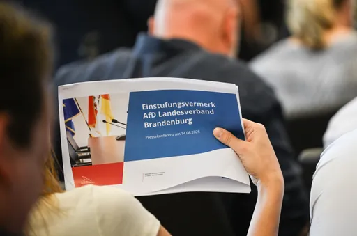 Verfassungsschutz sieht Brandenburger AfD als rechtsextrem