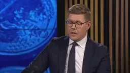 Опозицијата на Финска бара признавање на Палестина или гласање недоверба на Владата