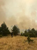 Flakë masive në Jazhincë, mbyllet rruga drejt vendkalimit kufitar me Kosovën
