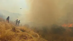 Situata e zjarreve në Shqipëri: 13 vatra, 10 ende aktive