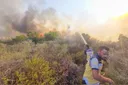بعد أربعة أيام من اندلاعها.. سوريا تعلن السيطرة بشكل كامل على حرائق غابات حماة
