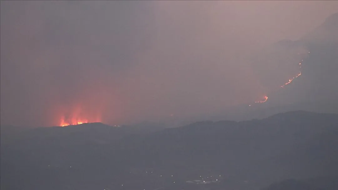 La Siria spegne gli incendi boschivi nelle campagne di Latakia e Hama