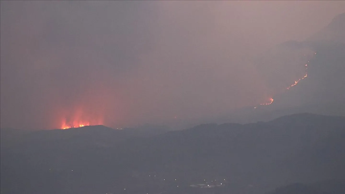 Syria extinguishes wildfires in Latakia, Hama countryside