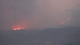 Syria extinguishes wildfires in Latakia, Hama countryside