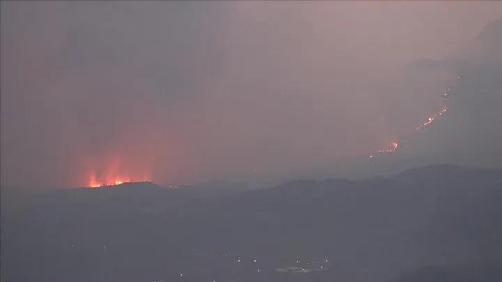 Syria extinguishes wildfires in Latakia, Hama countryside