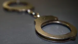 France seeks release of embassy staff arrested in Mali for 'destabilising' govt