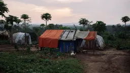 At least nine people killed in ADF attack in eastern DRC
