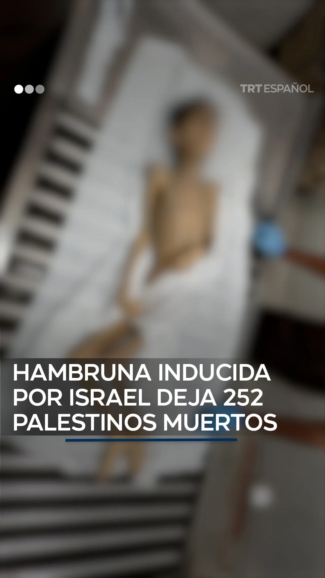 Hambruna inducida por Israel deja a 252 palestinos muertos