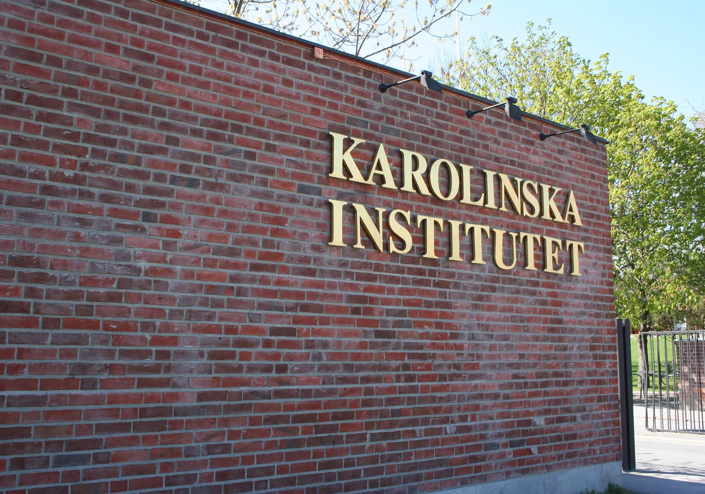 Två Stockholmsuniversitet bland världens 100 bästa – Stockholms universitet klättrar