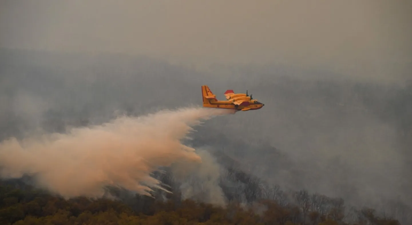 Morocco wildfires: Farm fields destroyed amid soaring temperatures
