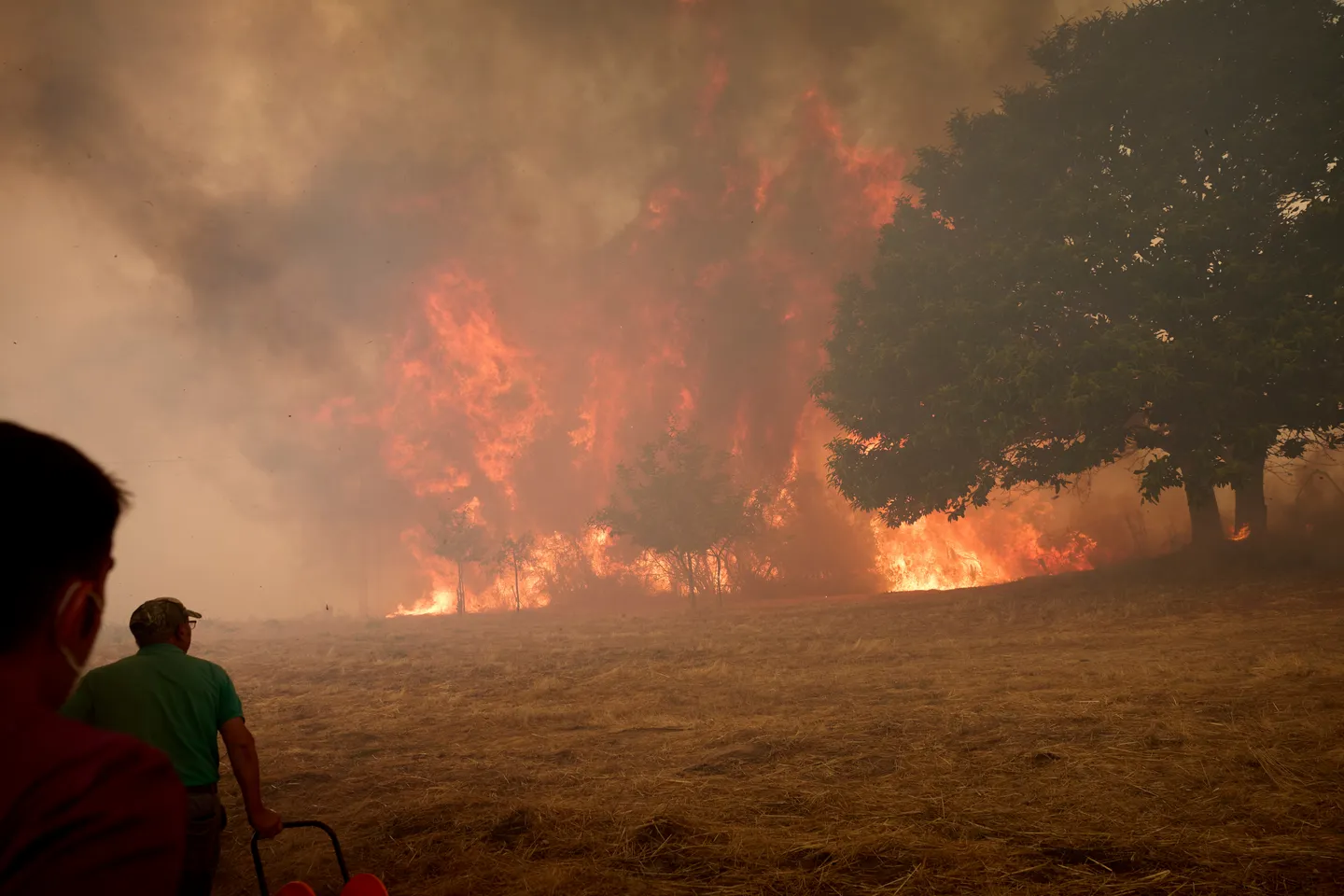 Climat: l’Europe se réchauffe plus vite que le reste de la planète