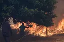 Espagne: les incendies ont dévasté 30.000 hectares en 24 heures