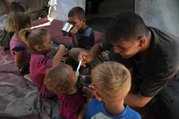 Shtatë palestinezë të tjerë vdesin nga uria në Gaza, shifra e përgjithshme shkon në 169