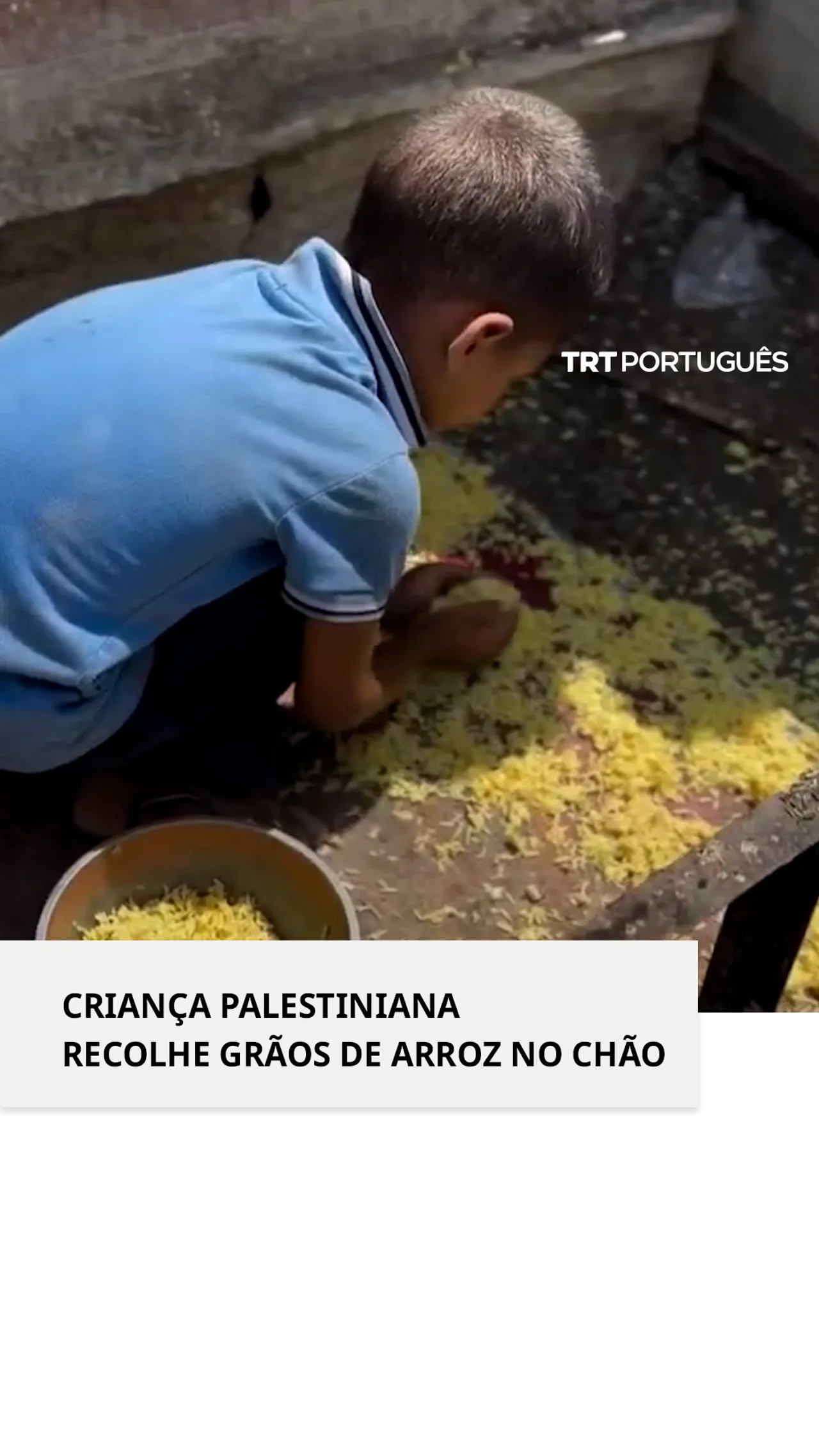 Criança palestiniana recolhe grãos de arroz no chão