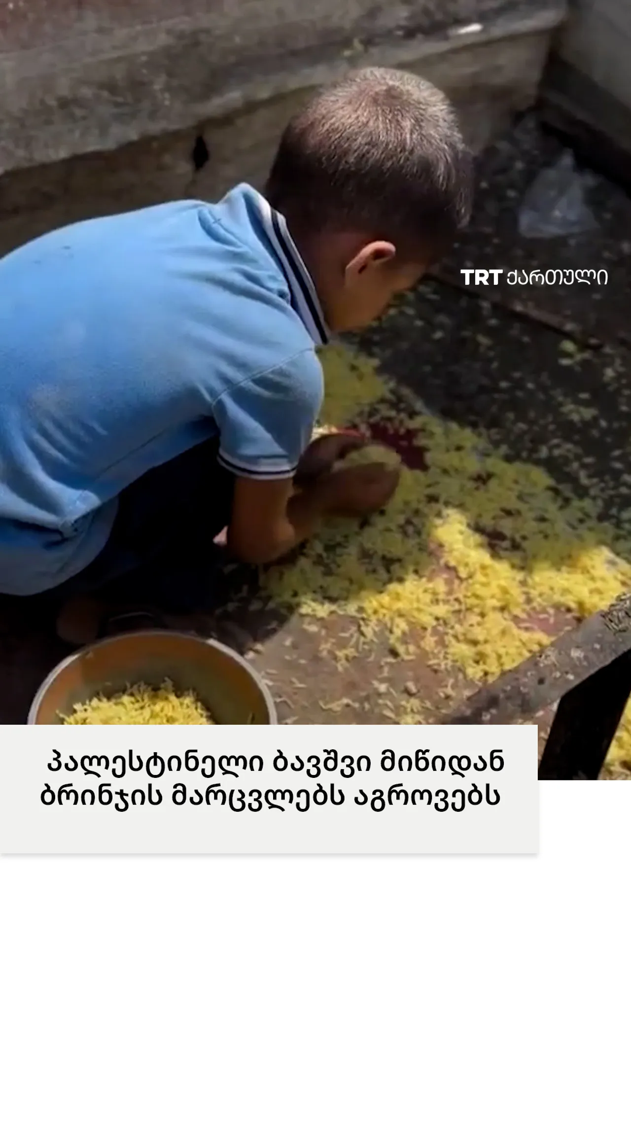 პალესტინელი ბავშვი მიწიდან ბრინჯის მარცვლებს აგროვებს