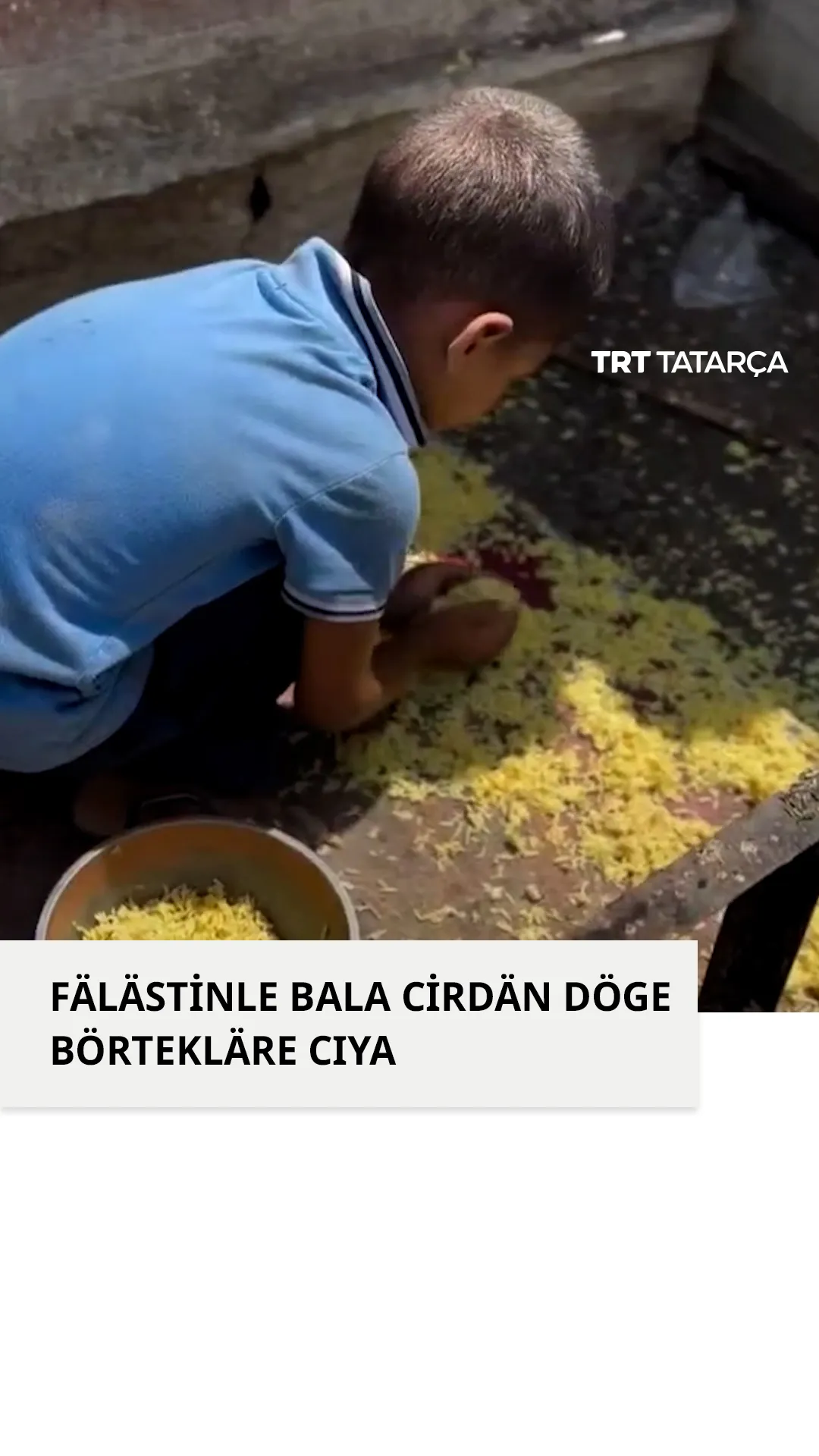 Fälästinle bala cirdän döge cıya