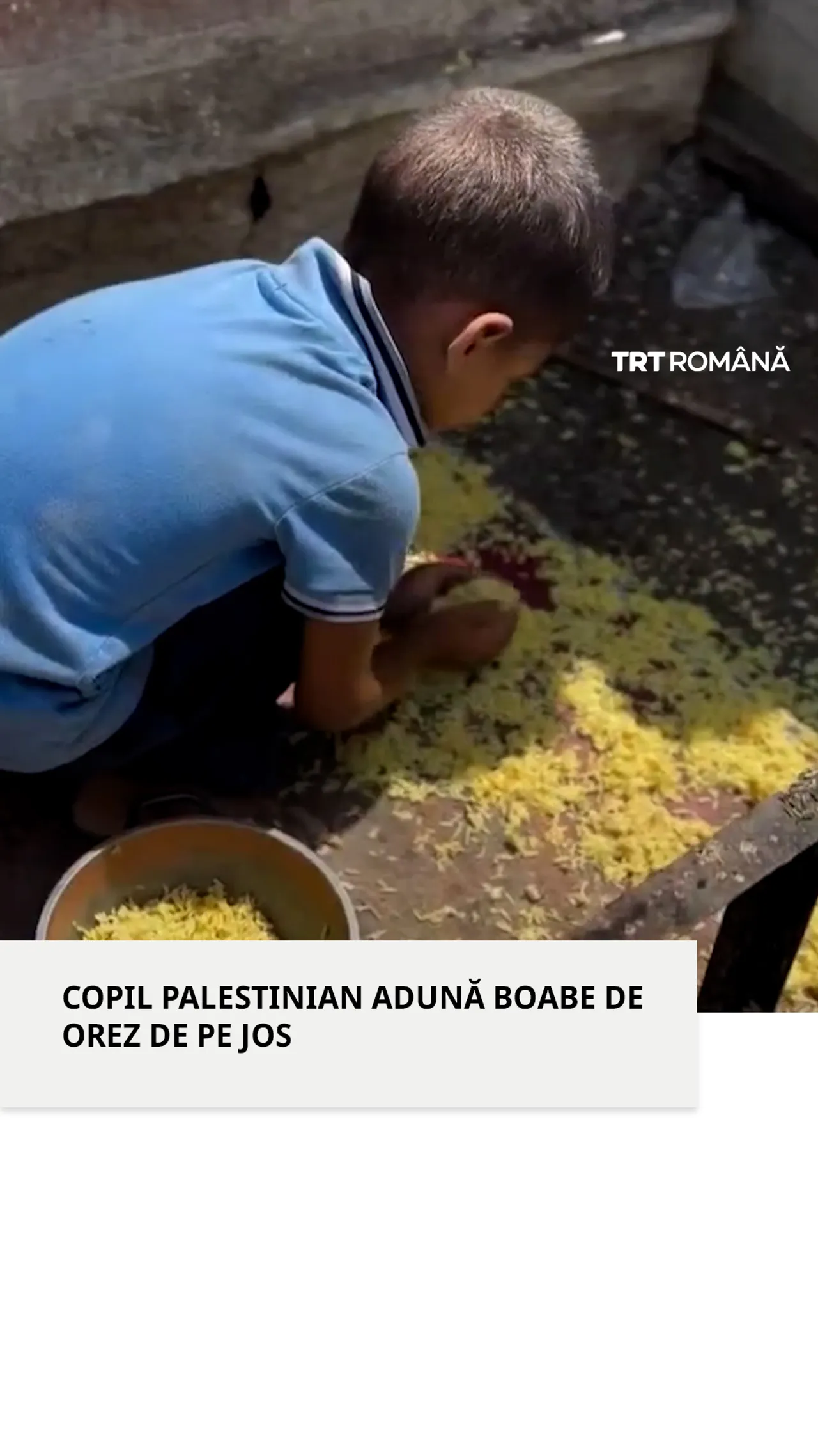 Un copil palestinian adună boabe de orez de pe jos