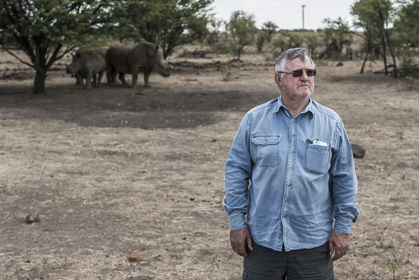 South Africa arrests former owner of world's largest rhino farm for trafficking