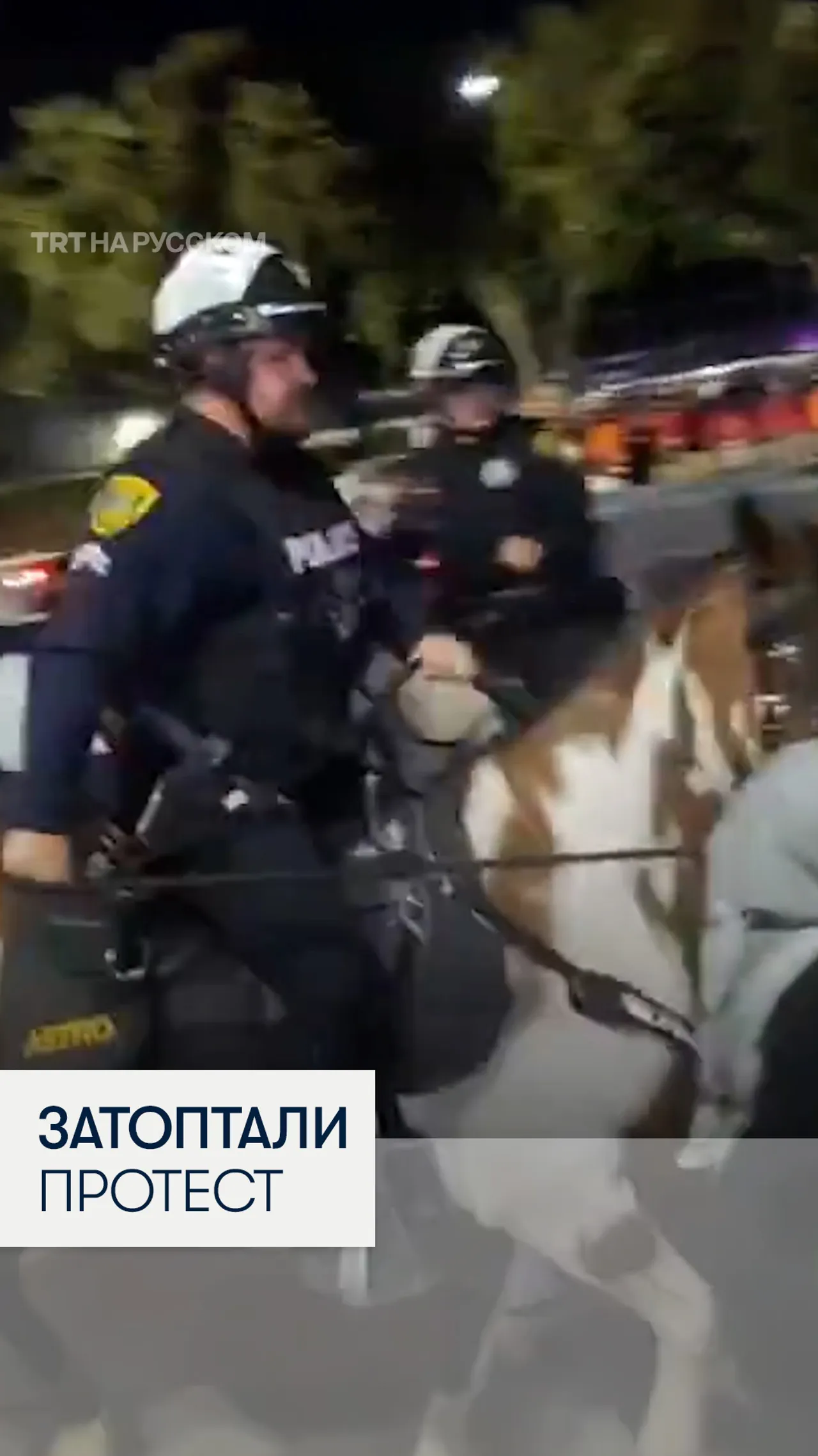 В США конная полиция атаковала пропалестинских активистов