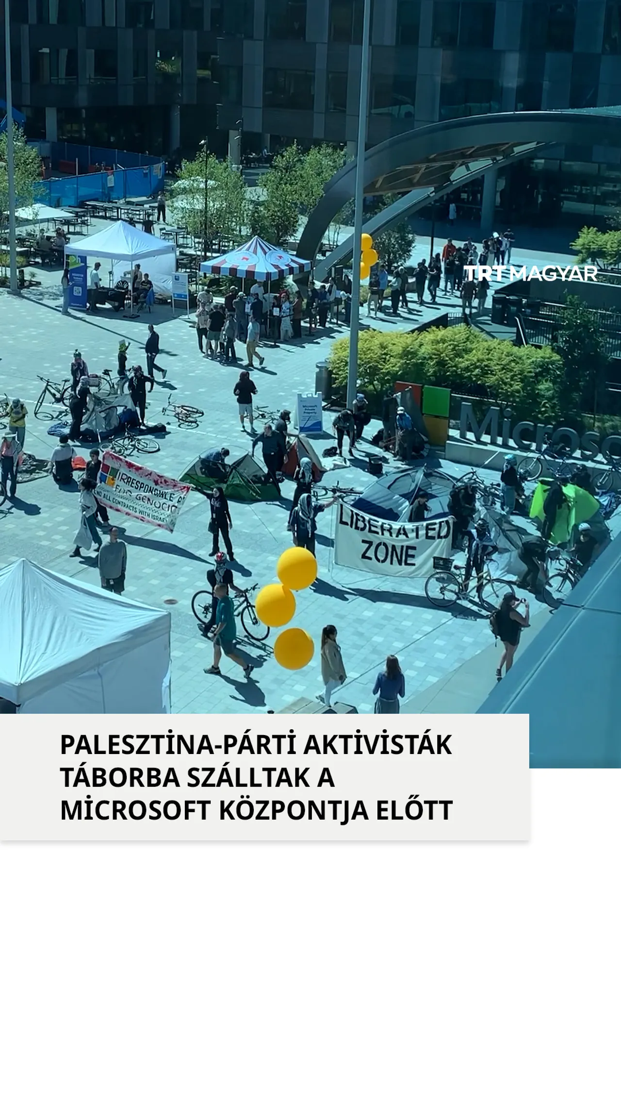 Palesztina-párti aktivisták táborba szálltak a Microsoft központja előtt