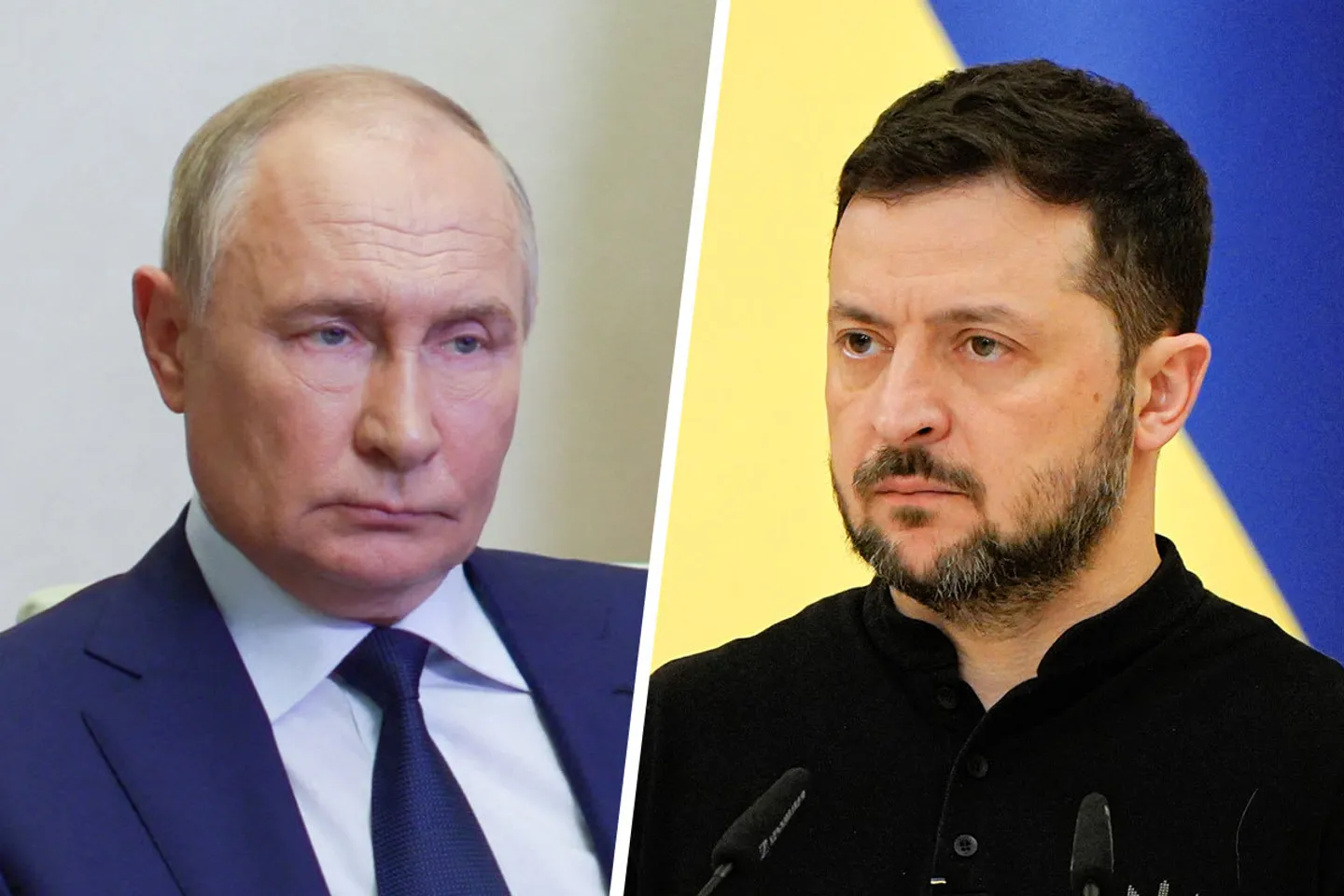 Зеленский и Путин могут встретиться в Стамбуле?