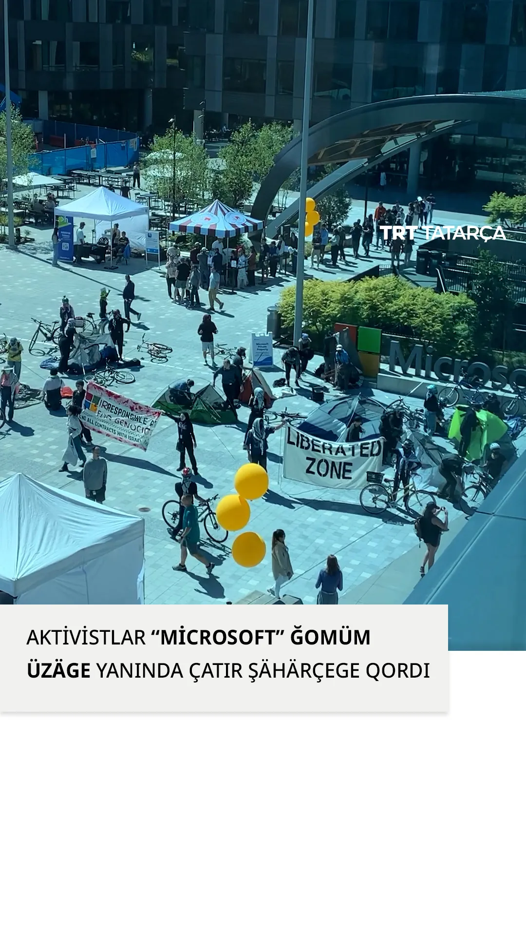 Aktivistlar “Microsoft” üzäge yanında palatkalar qordı