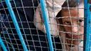 Inside Reuters: 'Our coverage silences Palestinian suffering'