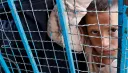 Ndani ya Reuters: 'Mtazamo wetu unanyamazisha madhila ya Wapalestina'