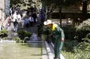 "Praznik zbog vrućine" proglašen u 28 iranskih provincija