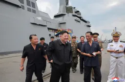 North Korea test-fires two 'new' air defence missiles