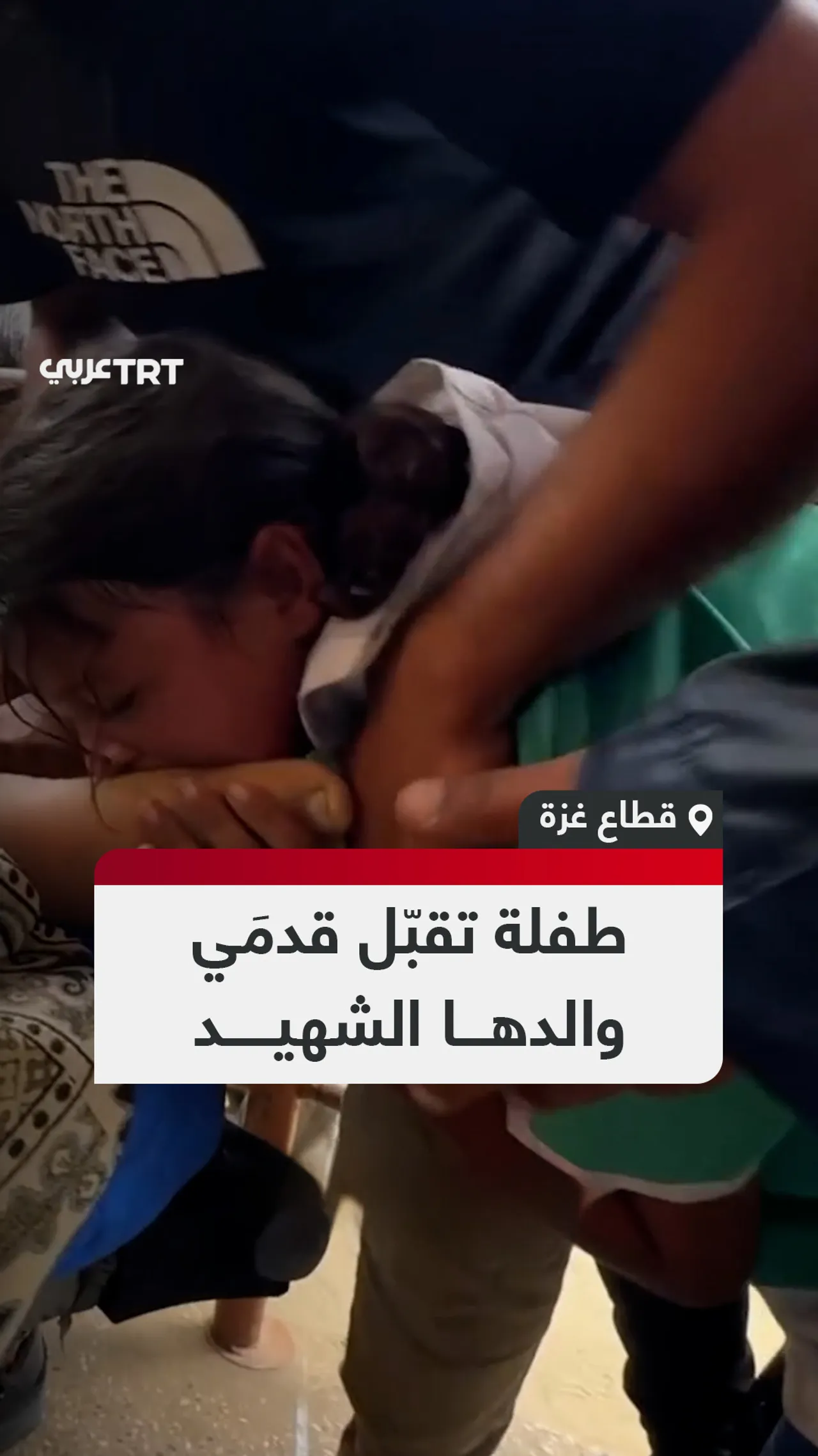 طفلة تقبّل قدمَي
والدها الشهيد