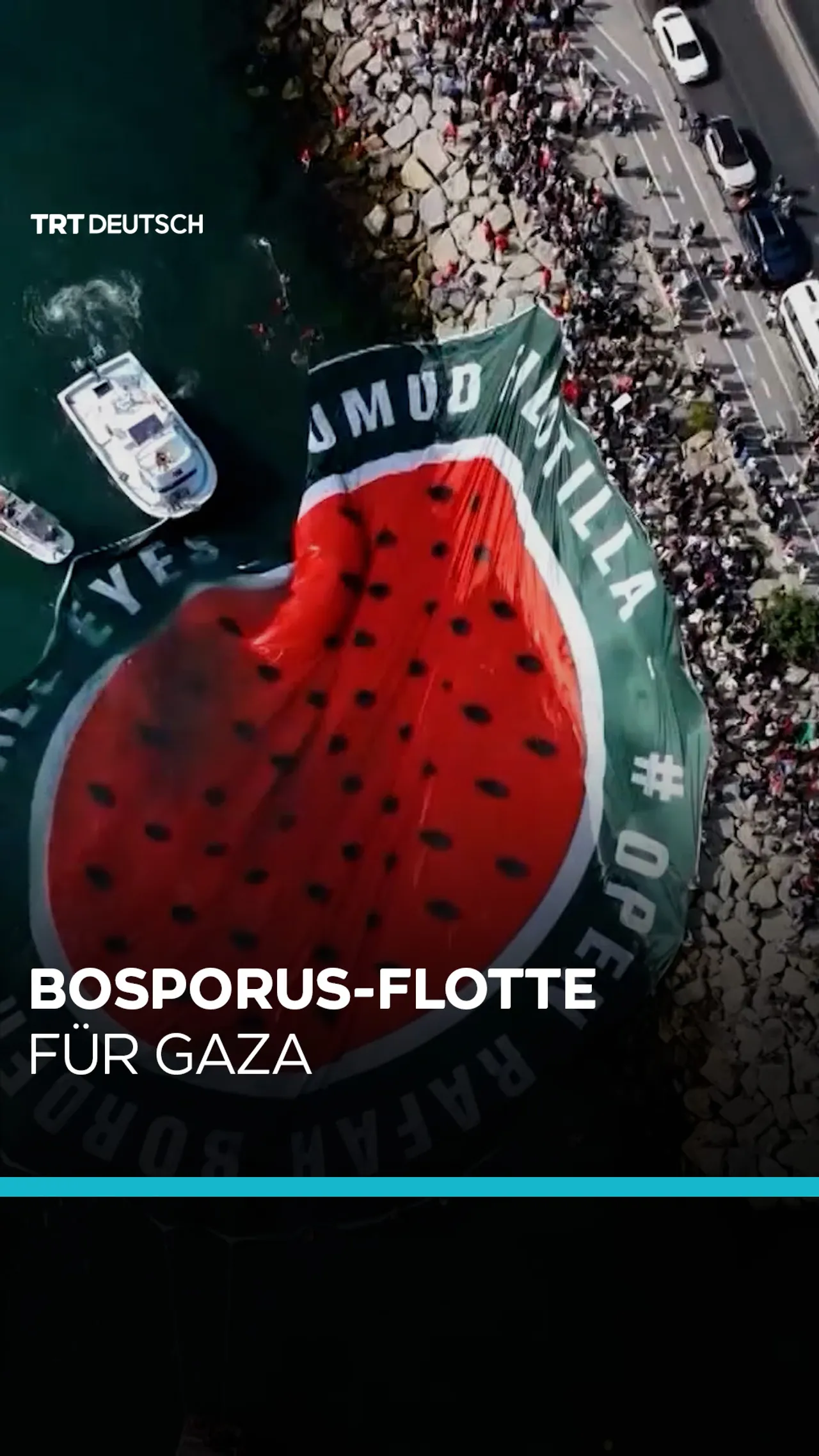 Bosporus-Flotte
für Gaza